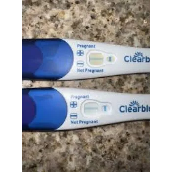 Pregnency Test